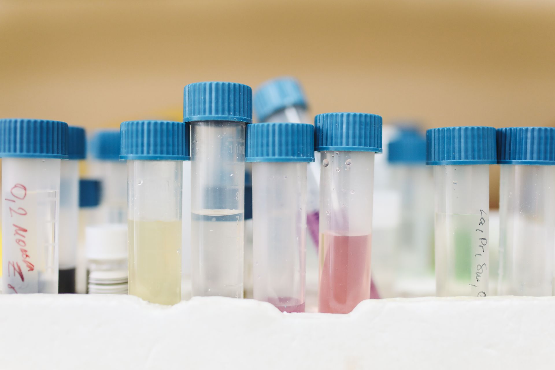 Sample vials and a batch Certificate of Analysis on a lab bench